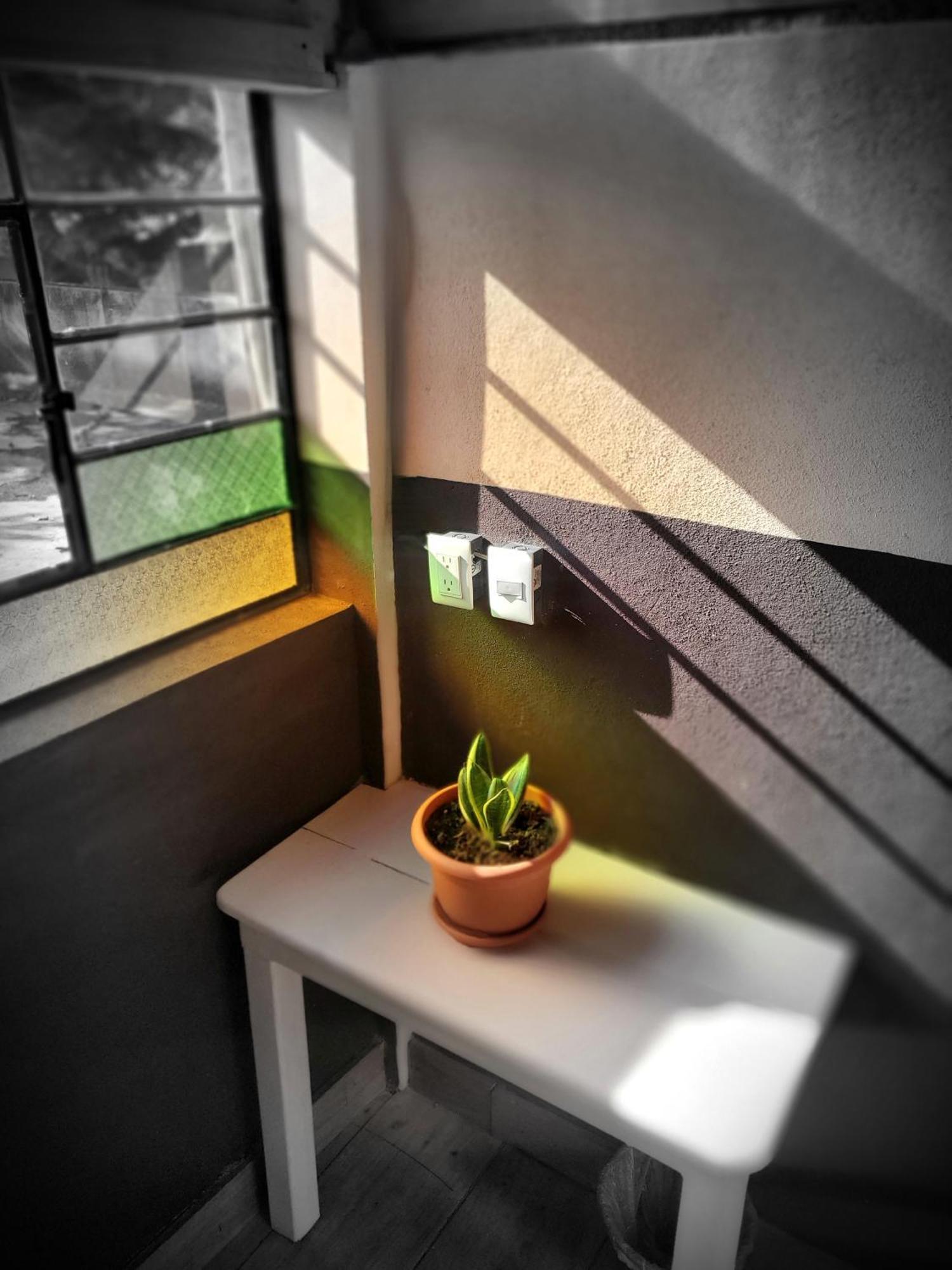 Hotel Art & Coffee à Santa Cruz La Laguna Chambre photo